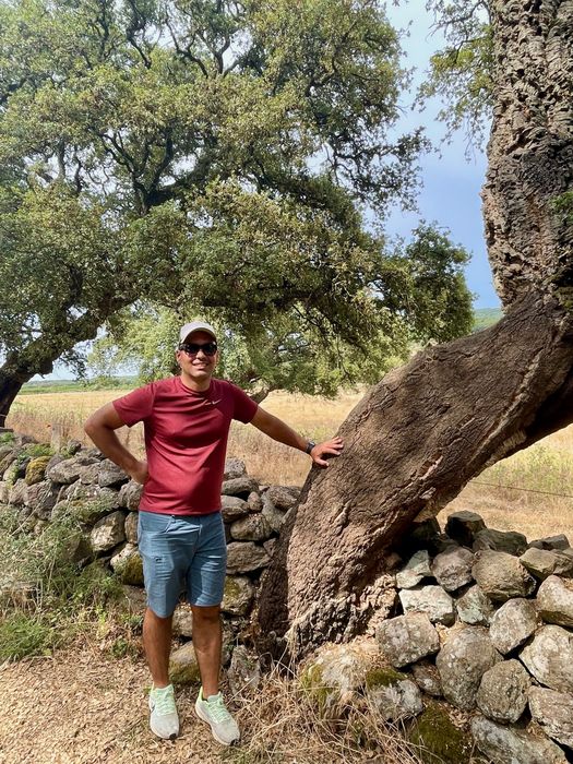 The author standing next to a superb Q. suber in the road towards Villanova Monteleone